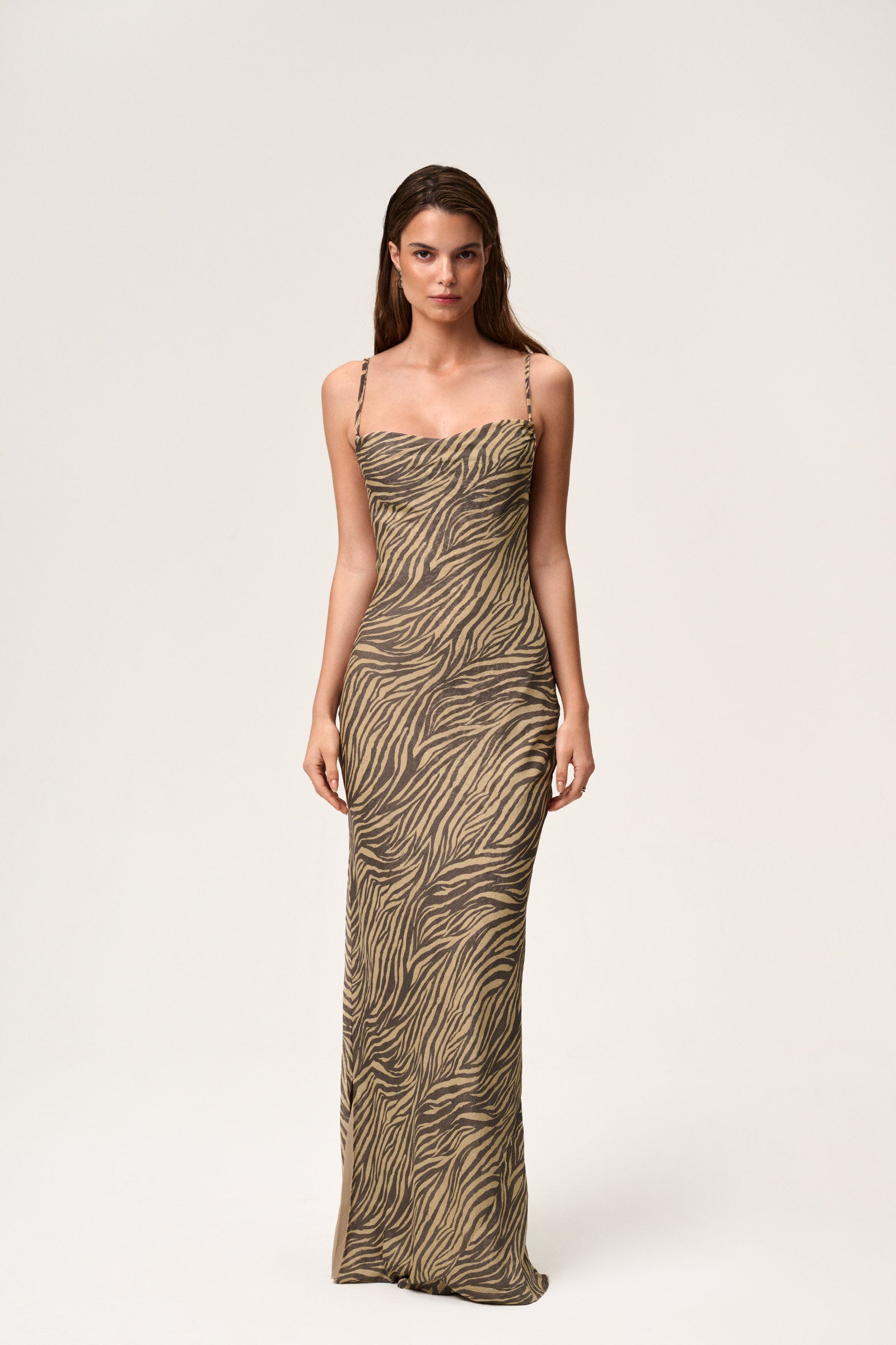 Vienna Maxi Dress image